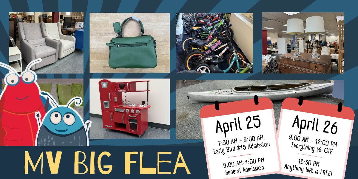 MV Big Flea is a fundraiser for Mount Vernon Community School