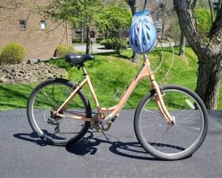 Ladies SCHWINN Sierra