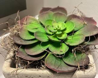 38Apr 15 2026 06 44pmrYuv