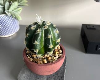 46Apr 15 2026 06 46pmmBzs