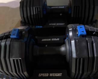 Nordic Track Weights