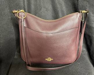 Chocolate Y2K COACH LIVE AUCTION ITEM