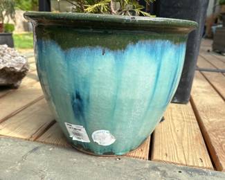 Medium sized plant pot