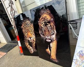 Jaguar/ tiger matching pictures 