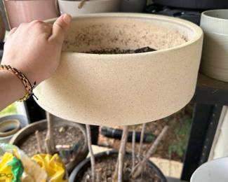 Medium round shallow plant pot 