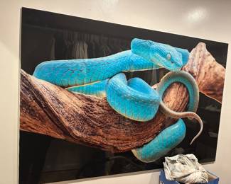 Very large very thin glass Snake picture 
