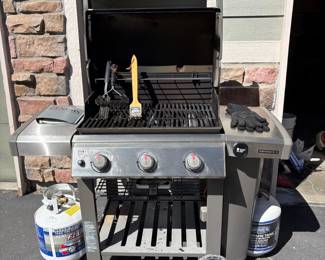 ap Weber G54 Gas Grill with Cover