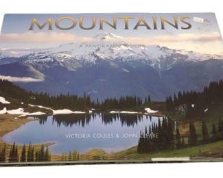 declining sale link on auction page