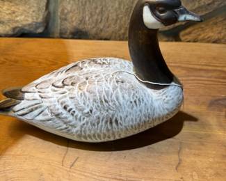 Duck
