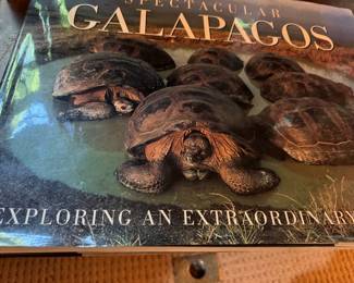 Beautiful coffee table book