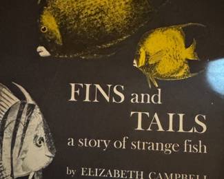 interesting children’s book