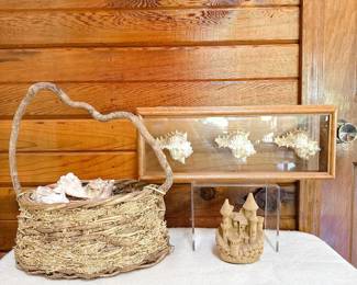 wooden framed seashells