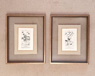 Framed Botanical Prints 