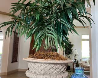 Potted faux palm 