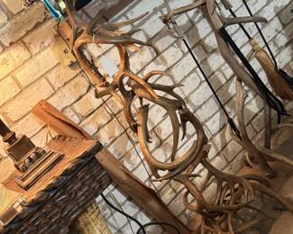 Extremely fine designer antler horn floor lamp w/cowhide shade