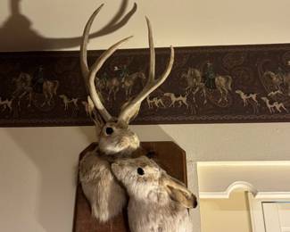 taxidermy mount of a jack-a-lope & his girlfriend