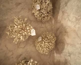 Examples of superb & large natural coral Specimens