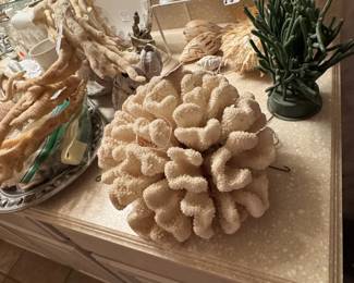 Example of a large & fine coral specimen