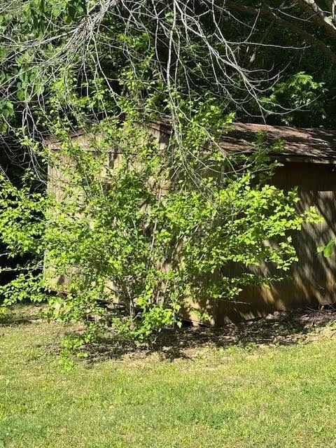 These 3 sheds are opening during the sale. All 3 had to be fumigated for wasps and spiders. They are all clear of this week and are full of everything especially tools and equipment. Who knows what "goodies await iinside!"