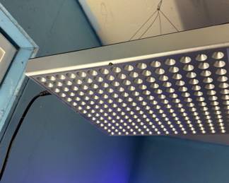 Grow Light 