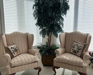 Beautiful wing backs