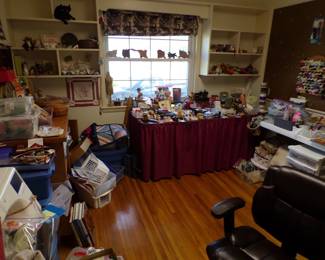 overall view 100's sewing items