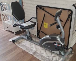 Recumbent bicycle exercise equipment