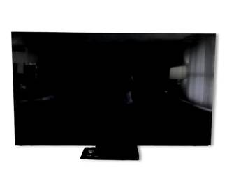 VIZIO 65 PSeries Quantum X 4K HDR Smart TV Model PX65G1 w Remote  Panasonic BluRay Player