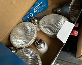 Flood Light Bulbs