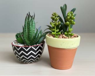 Artificial Succulent Plants in Pots