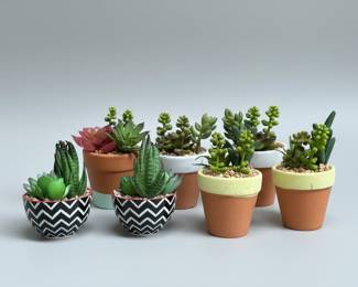 Artificial Succulent Plants in Pots