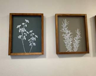 Botanical Illustration Framed Art Set