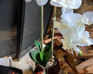 White Orchid in Modern Ceramic Vase