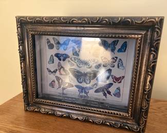 . . . butterfly art