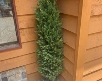 We Have Two Of These