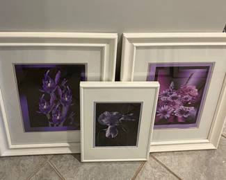 Framed Artwork