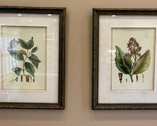 Botanical Print Set
