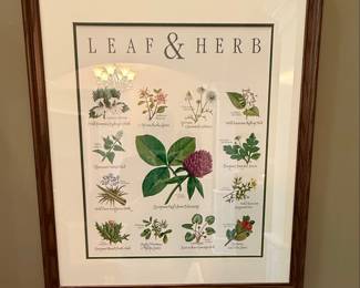 Botanical Educational Chart Set