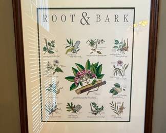 Botanical Educational Chart Set