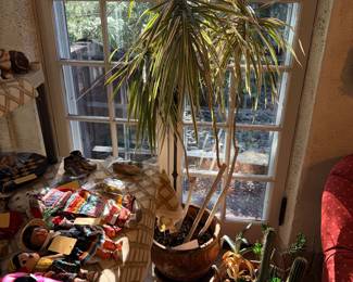 Items Located In The Sun Room