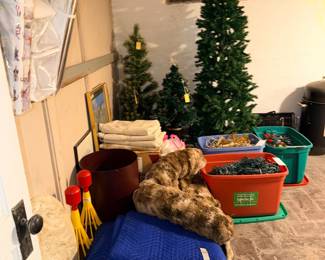 Items Located In The Basement