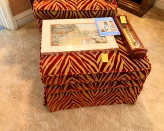 Items Located In The Living Room