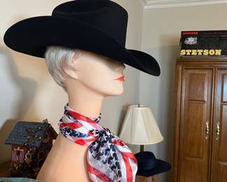 Stetson Hat (like new) w/ Box