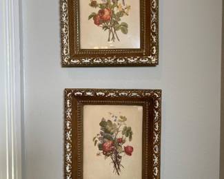 Botanical Prints by Jean-Louis Prevost