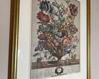 Framed Botanical Engraving