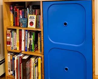 Ikea Shelving Unit & Young Adult Books