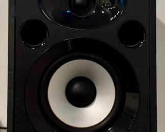 Alesis Speakers
