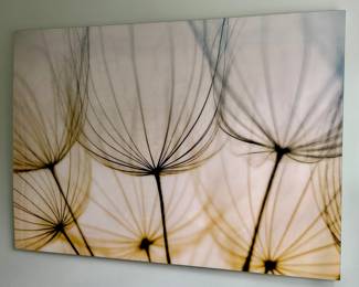 Dandelion Flower Seeds Stretched Canvas Print