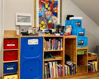 Ikea Shelving Unit & Assorted Young Adult Books