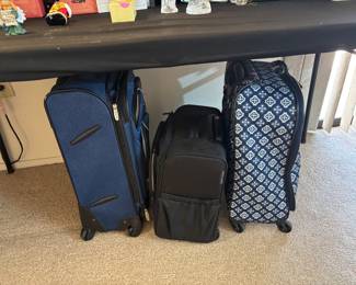 "Skyline" & "Brighton" Luggage